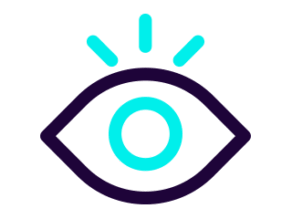 Flash Package icon