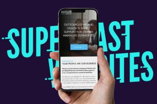 Low-cost website setup solution for businesses needing quick turnaround