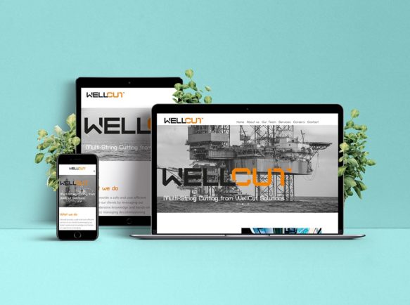 superfast-websites-wellcut-solutions-new-website